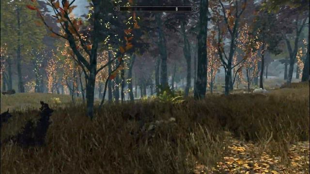 The Elder Scrolls V Skyrim Special Edition Видим свое тело 1го Лица # 18 смотреть онлайн