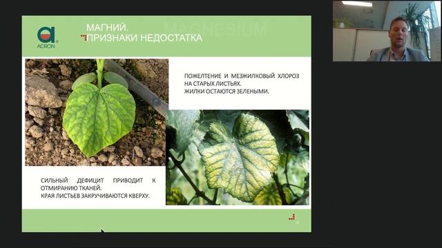 Признаки недостатка элементов питания смотреть онлайн