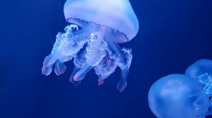 Время 14:04 на часах – что значит в ангельской нумерологии. Как понять послание ангела?