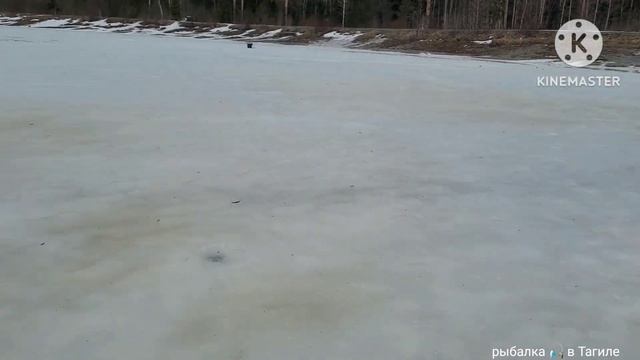 Прогулка с камерой в поиске рыбы Иван Озеро - Дураковка смотреть онлайн