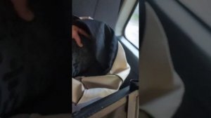 Как снять подголовник на Газель Некст.