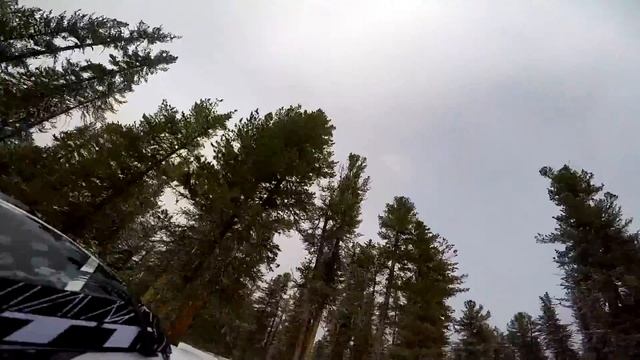 СНЕГОХОДЫ смотреть онлайн