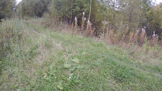 ЛУЧШАЯ РЫБАЛКА НА ЩУКУ 2019!!!ТЕСТИРУЕМ ОБНОВКИ. смотреть онлайн