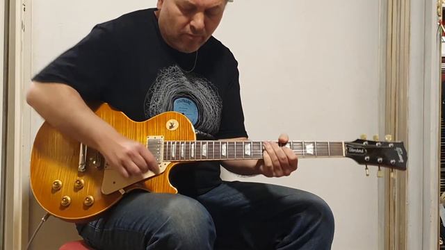 Gibson Les Paul Standard Premium Plus Flamed Top HoneyBurst 2004 Venta Instrumentos Vintage Olimusi смотреть онлайн