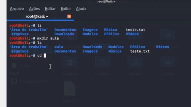 Primeiros Comandos no Kali Linux / Conhecendo o Sistema [ Curso Gratuito de Kali Linux ] смотреть онлайн