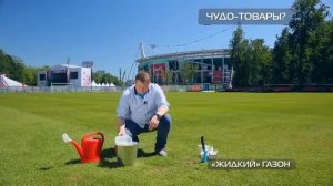 Газонная трава