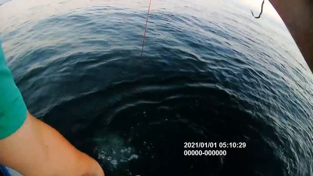 Schooling On Long Island Sound: Striped Bass and Rev War History! смотреть онлайн