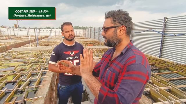 Pearl Farming in India at Home ? मोती की खेती कैसे करें ??? Moti kheti Surgery Training Centre смотреть онлайн
