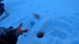 ЗИМНЯЯ РЫБАЛКА 2020-2021 НА ЯМАЛЕ!!!