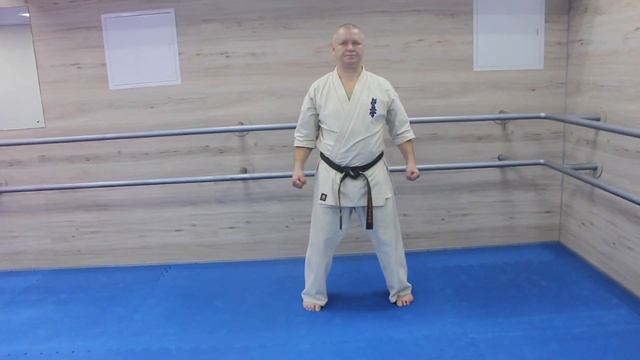 Идо гейко + ката каратэ киокушинкай 5 кю смотреть онлайн