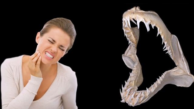 Люди смогут восстанавливать зубы не хуже акул смотреть онлайн