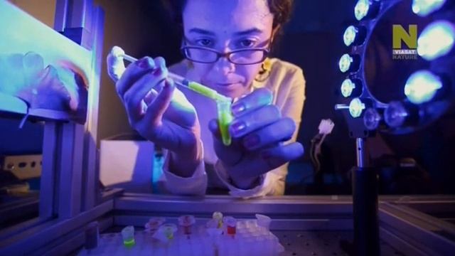 Растения под микроскопом часть1( Colonising Plants)Колонизация Растений смотреть онлайн