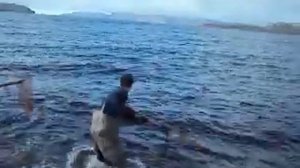 Териберка. За мойвой.