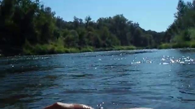 7 августа 2022 год. Река медведица смотреть онлайн