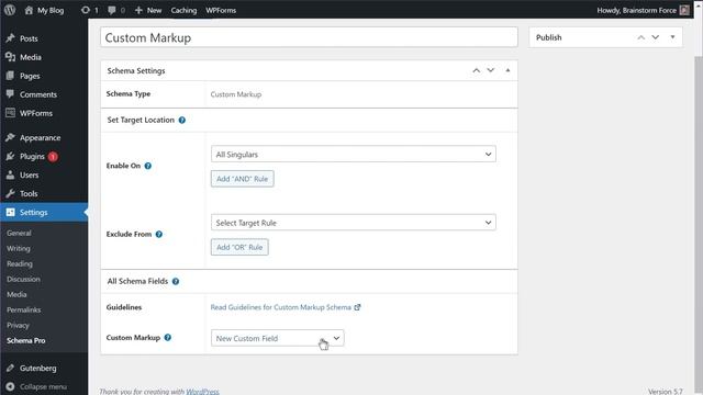 Add Custom Schema To Your Website (New Schema Pro Feature) смотреть онлайн