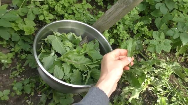 Как приготовить смузи. смотреть онлайн