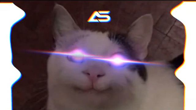 UNDERTALE - Shop [ TRAP MUSIC ] смотреть онлайн