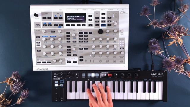 Waldorf Kyra Aestivation Sound Pack: Patches for Ambient and Techno (no talking) смотреть онлайн