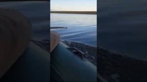 TOYAMA TA 3.5 лодочный мотор с навесным транцем с двумя людьми 75+90кг