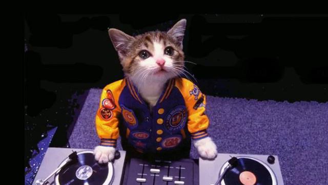Dj Kralı - Klarnet Remix Bass смотреть онлайн