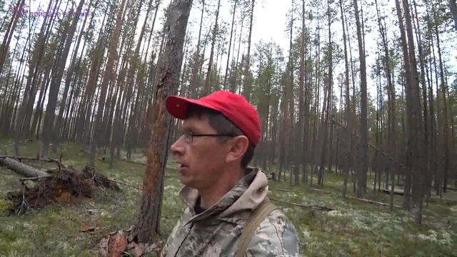 Рыба и Друзья