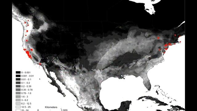 Death cap mushrooms at Point Reyes National Seashore смотреть онлайн