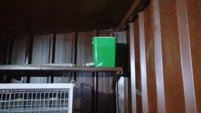 Как сделать автоматические поилки для перепелов / разведение перепелов полезные советы смотреть онлайн