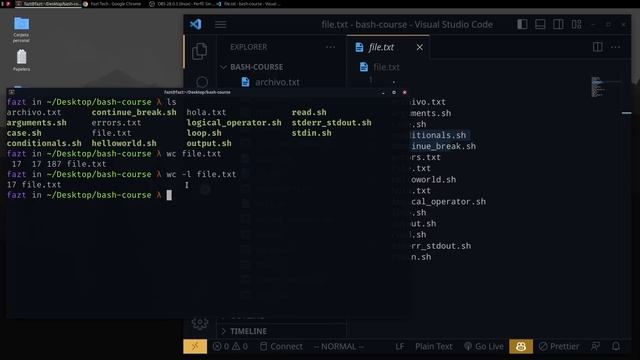 Curso de Bash Script para principiantes смотреть онлайн