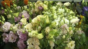 Флорист рассказала, какие букеты дарить мужчинам