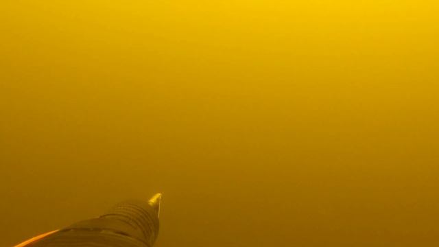 КАК СТРЕЛЬНУТЬ ТРОФЕЙ ИЗ СТАИ? Добываем желанный трофей из стаи карася. Подводная охота на Волге. смотреть онлайн