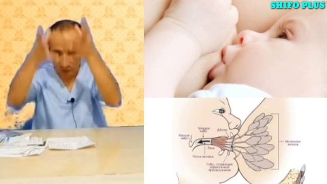 Yangi Tuqqan Ayollarda Loktatsiya Sut Yetmay Qolishi ТУККАН АЁЛЛАРДА СУТ ЕТМАЙ КОЛИШИ