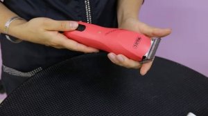 Как выбрать машинку для стрижки собак? Для дома или для Профи? Скупой платит дважды