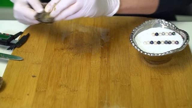 Big Surprise in Cool Oyster Shell! (Reveals 14379 - 14417) смотреть онлайн