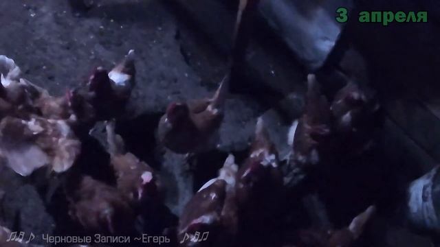 Новая бронированная DIY дверь в сарай! Сорока на хвосте принесла #14 смотреть онлайн