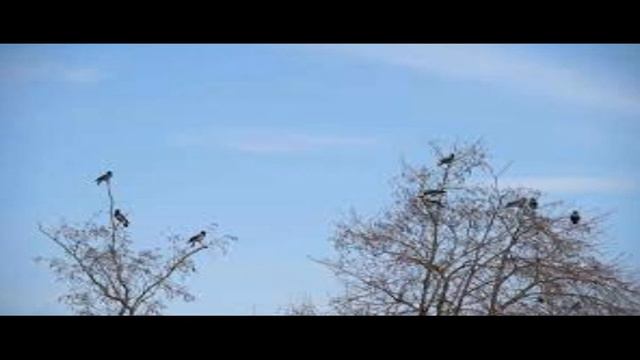Маканчинская осень ре микс 2 - а. Слова и музыка Владимира Данильченко Ерёмина. смотреть онлайн