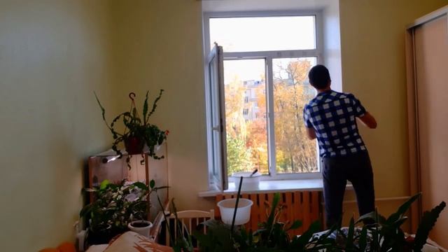 Мою окно/ Обзор растений / Зимовка лесных кактусов смотреть онлайн