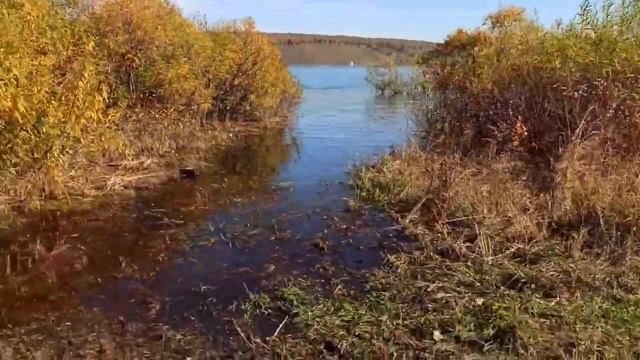 Россия. Сибирь. Ангарск. Зуй. Комбинат. Озера. 23.09.2021г./26.09.2021г. смотреть онлайн