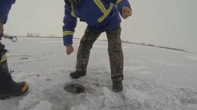 Невероятный УЛОВ!!!ТРОФЕЙ!!! Щука на 26 килограмм. смотреть онлайн