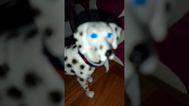 наша новая студия из картона где будут сниматься фильмы и так далее смотреть онлайн