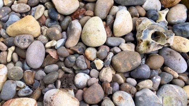 Играем с камешками. Развиваем мелкую моторику и речь. Знакомимся с окружающим миром.