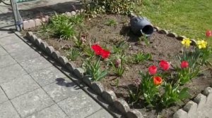 Жизнь в Германии, Дача в Германии, Ландшафтный дизайн