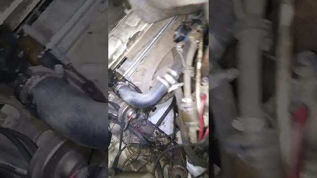 Замёрз тосол омск 43 градуса смотреть онлайн