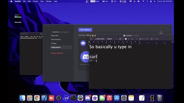 how to delete a discord webhook by using terminal or command prompt смотреть онлайн