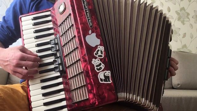 The Hatters - Stay True ( Accordion cover ) | Шляпники - Стэй Тру ( аккордеон кавер ) смотреть онлайн