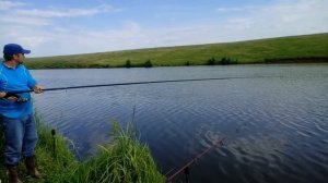 Как и на что ловить толстолоба. Секретный прикорм