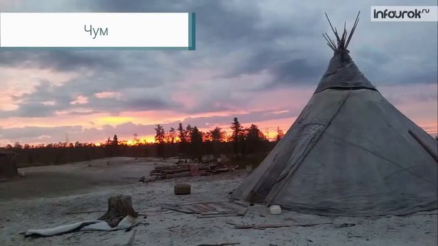 42 Природные зоны России смотреть онлайн