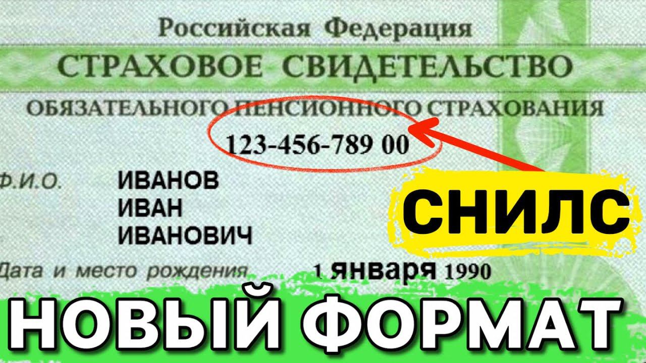 MsGroup - Миграционные услуги