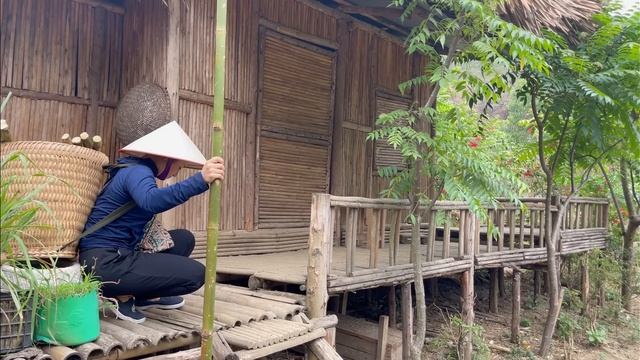 Harvest sugar cane to go to the market to sell, take care of pigs and goats смотреть онлайн