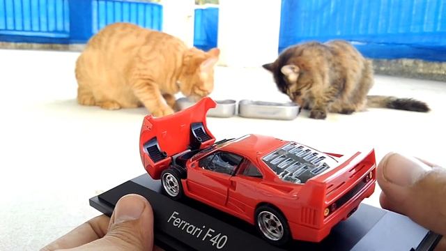 Ferrari F40(toycar) and cats смотреть онлайн