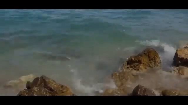 Vladimir Korotaev(Les Feuilles Mortes)